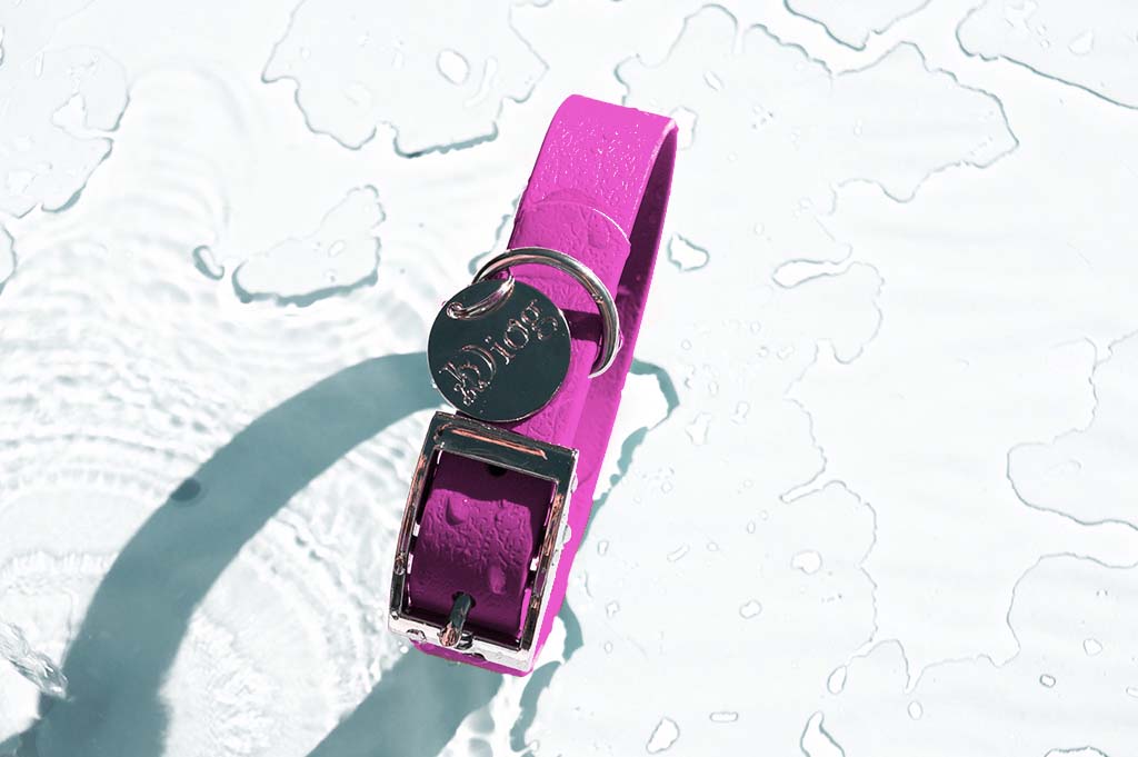 Diog waterproof collar 2